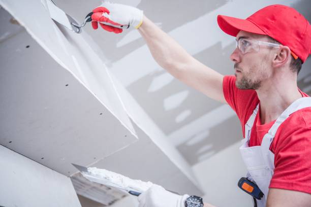 Best Water-Damaged Drywall Repair  in Ke Charles, LA